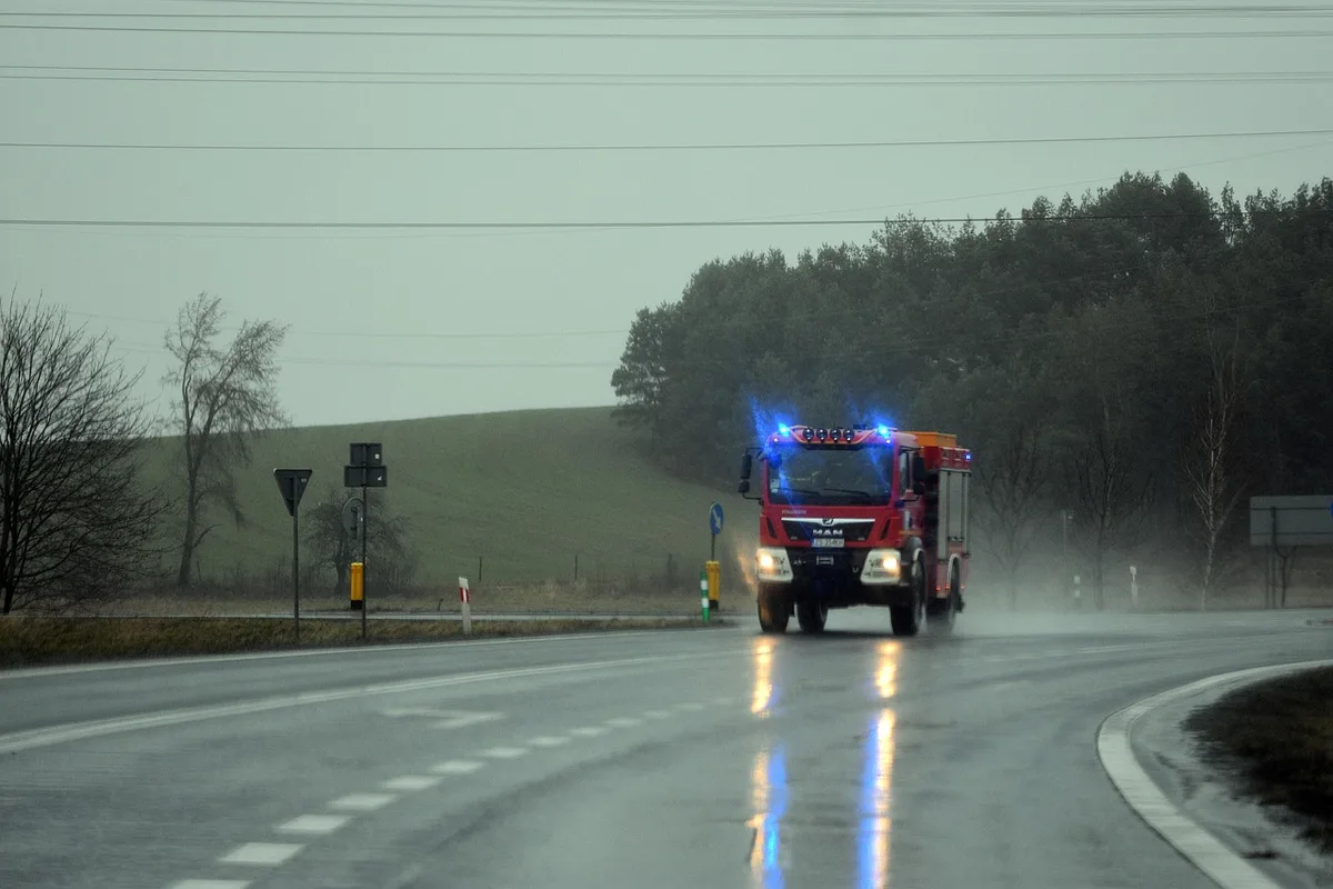 Véhicules de pompiers et front de feu près d'habitations et d'un haras