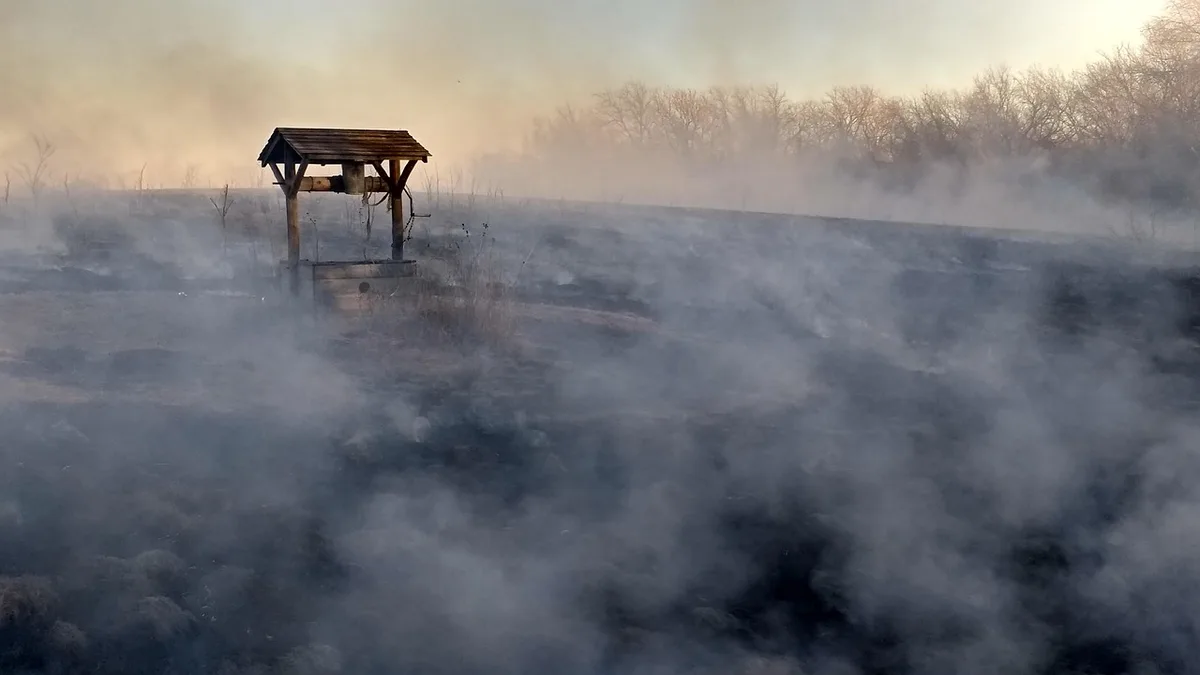 Forêt partiellement brûlée avec fumée persistante