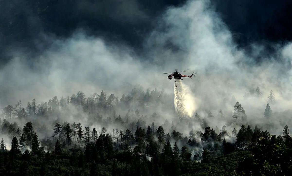Pompiers silhouettes à la lisière d'une forêt fumante lors d'un incendie
